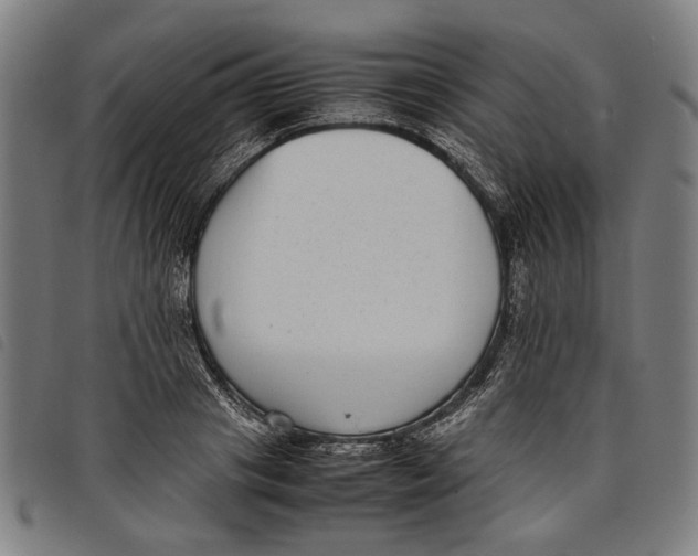 X0000097820841200804041357