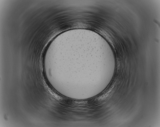 X0000097820843200804041357