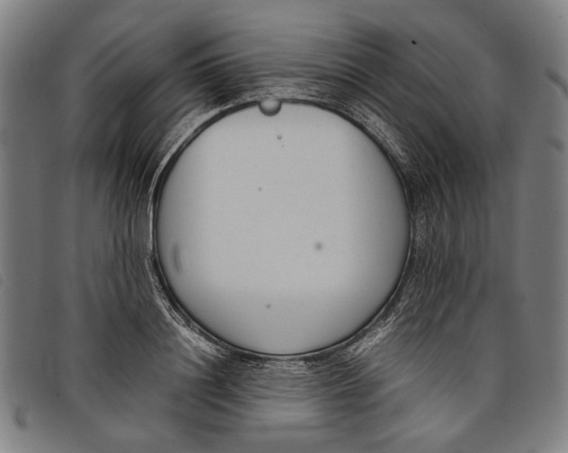 X0000097820844200804041357