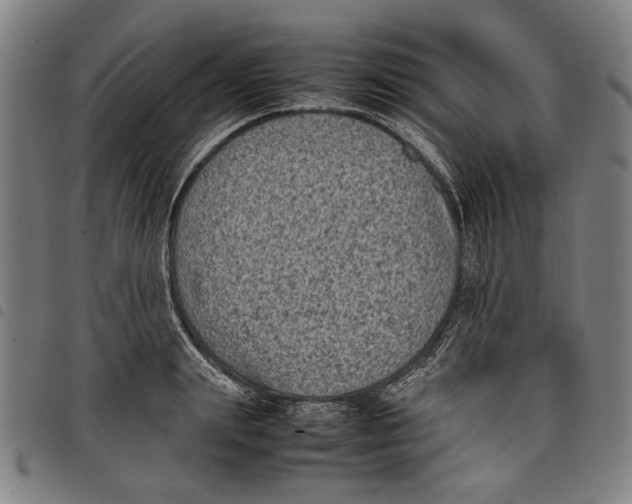 X0000097820847200804041357