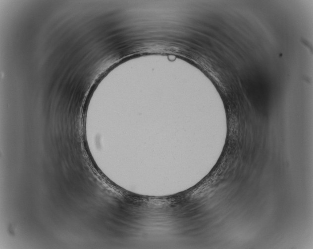 X0000097820848200804041357