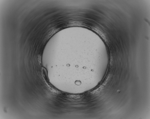 X0000097820849200804041357