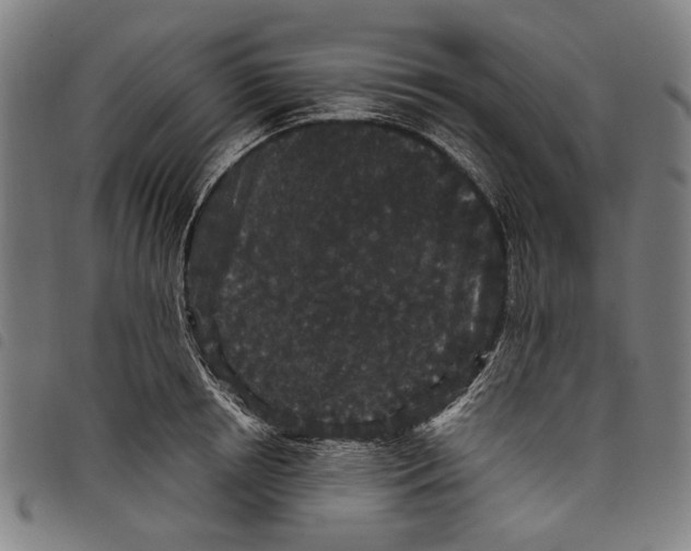 X0000097820850200804041357