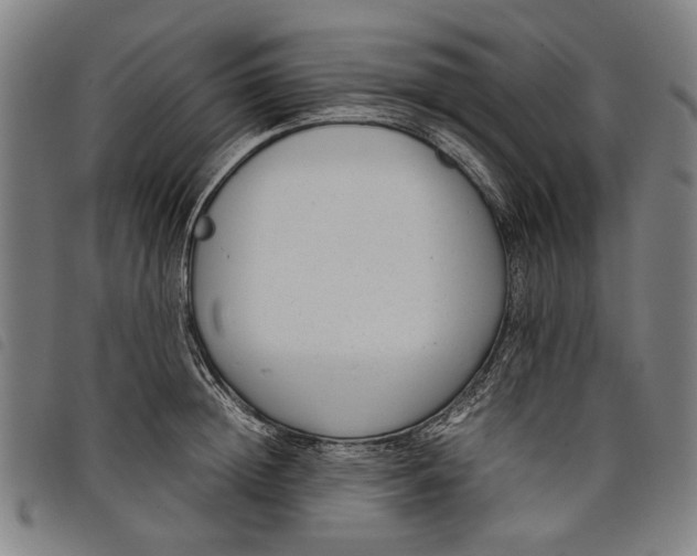 X0000097820852200804041357