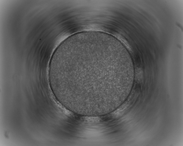 X0000097820856200804041357