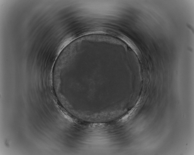 X0000097820858200804041357