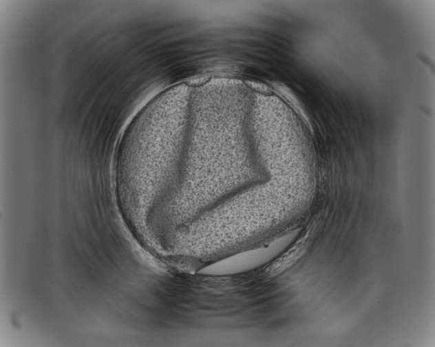 X0000097820859200804041357