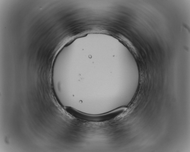 X0000097820860200804041357