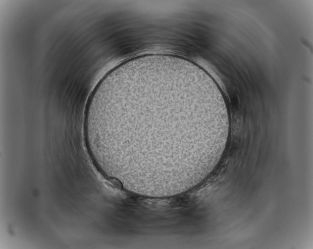 X0000097820861200804041357