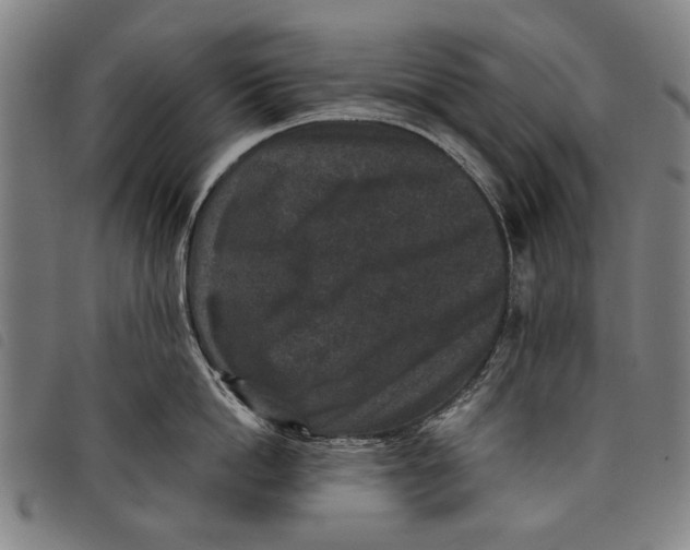 X0000097820862200804041357