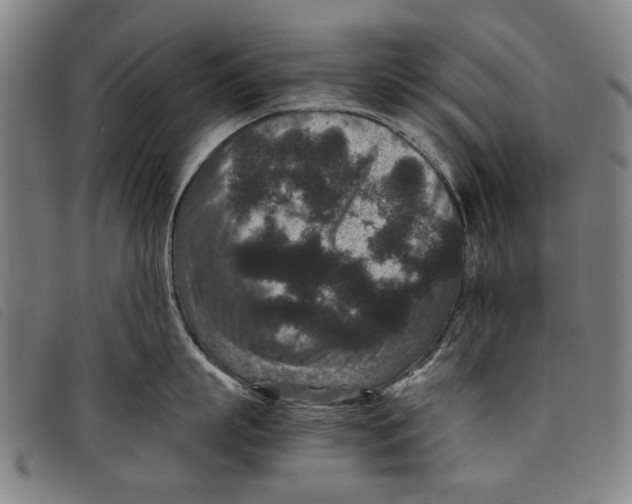 X0000097820863200804041357