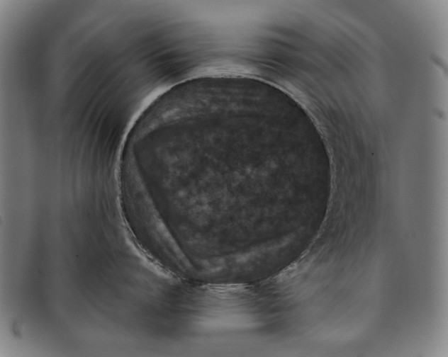 X0000097820864200804041357