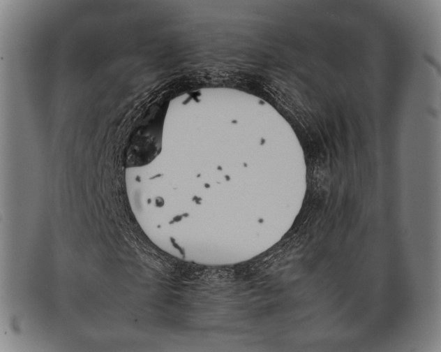 X0000097820865200804041356