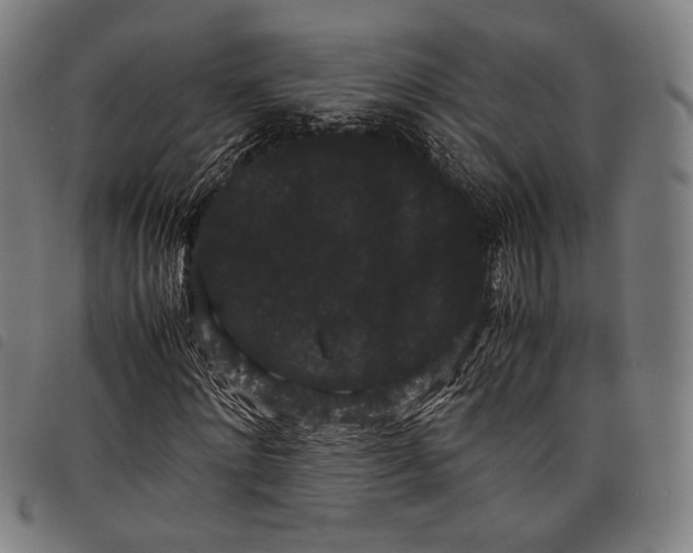 X0000097820868200804041356