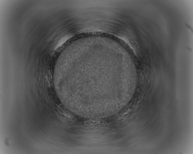 X0000097820871200804041356