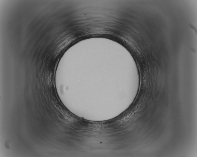 X0000097820873200804041356