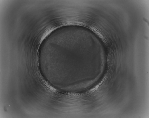 X0000097820877200804041356