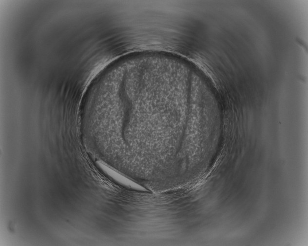 X0000097820879200804041356