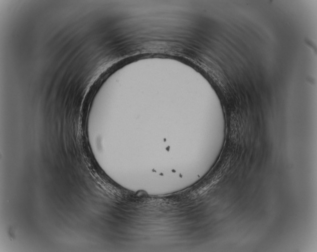 X0000097820880200804041356