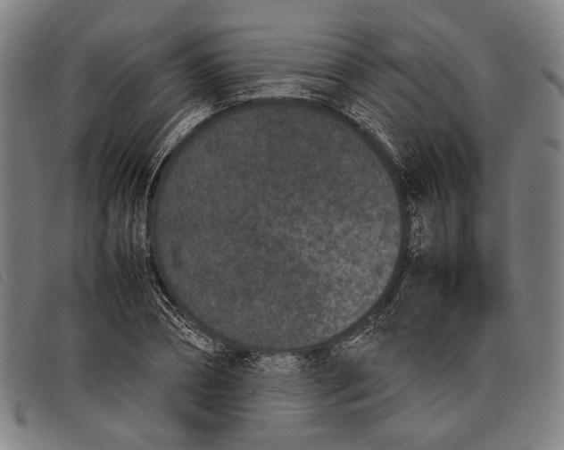 X0000097820882200804041356