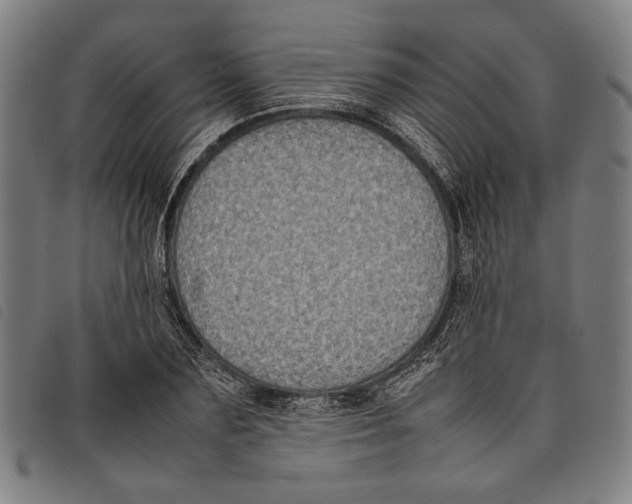 X0000097820883200804041356