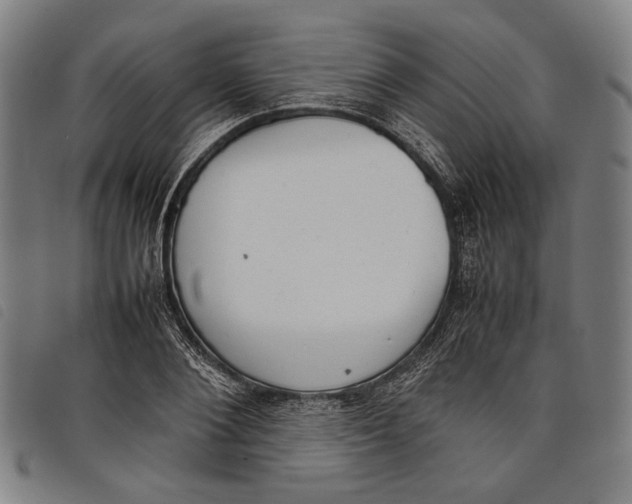 X0000097820884200804041356