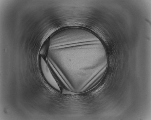 X0000097820885200804041356