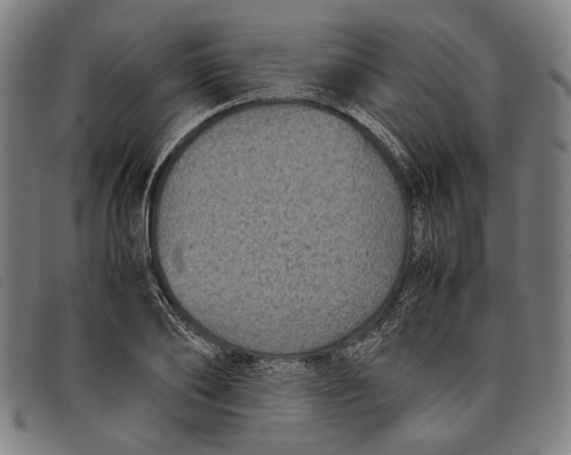 X0000097820886200804041356