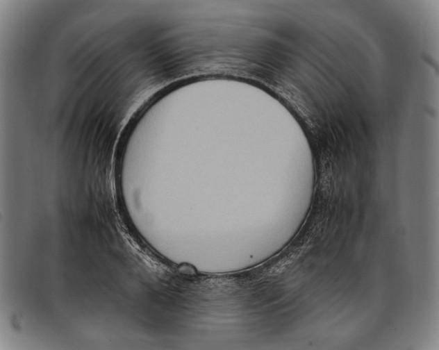 X0000097820888200804041356