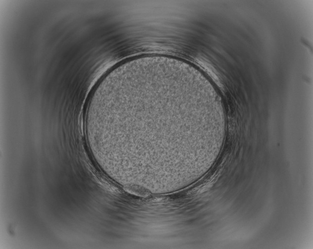 X0000097820891200804041356