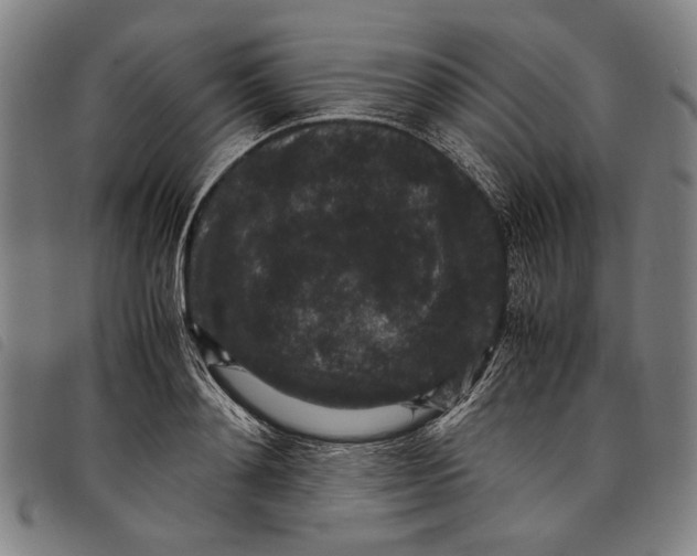 X0000097820892200804041356