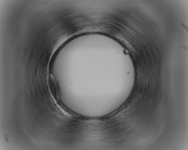 X0000097820894200804041356