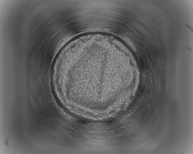 X0000097820895200804041356