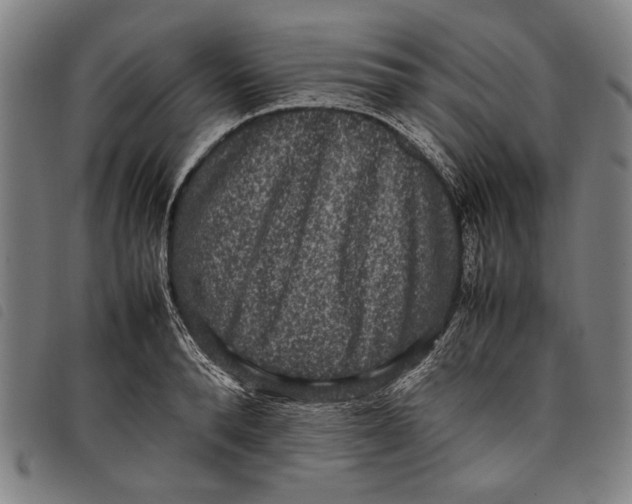 X0000097820896200804041356