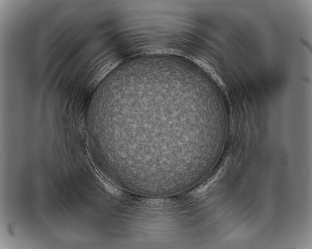 X0000097820897200804041356