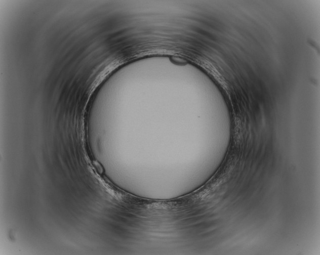 X0000097820898200804041356