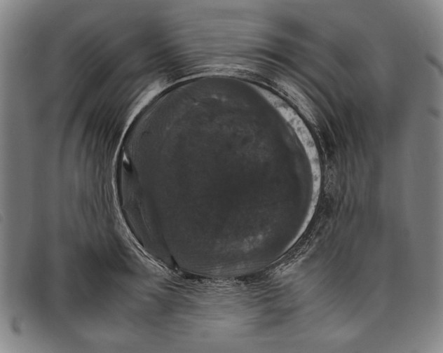 X0000097820899200804041356