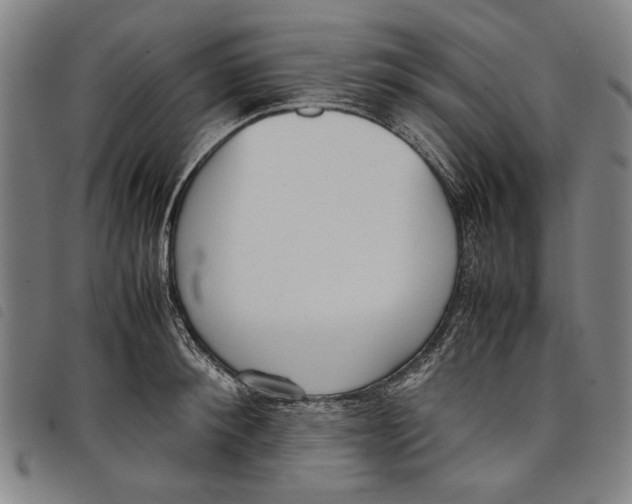 X0000097820900200804041356