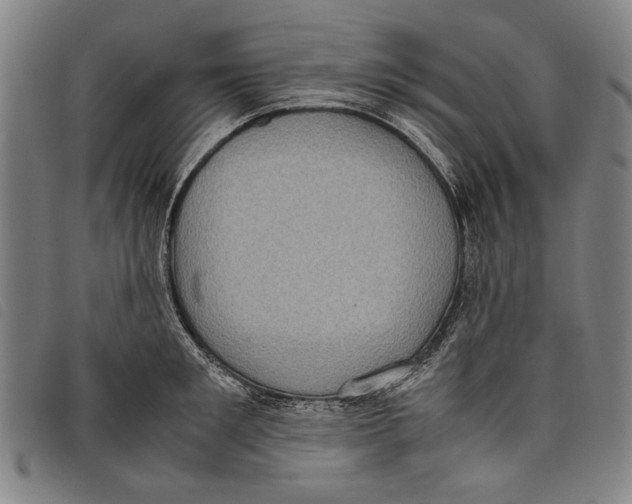 X0000097820901200804041356