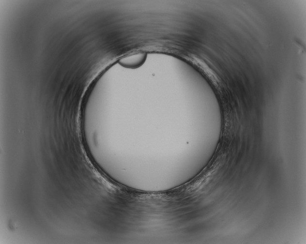 X0000097820902200804041356