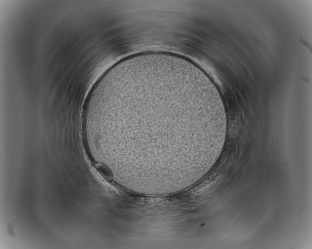 X0000097820903200804041356