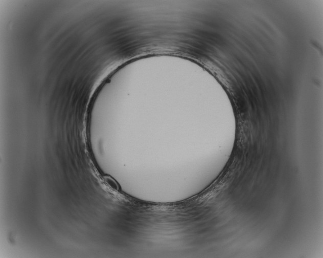 X0000097820904200804041356