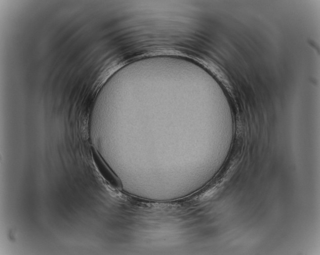 X0000097820905200804041356