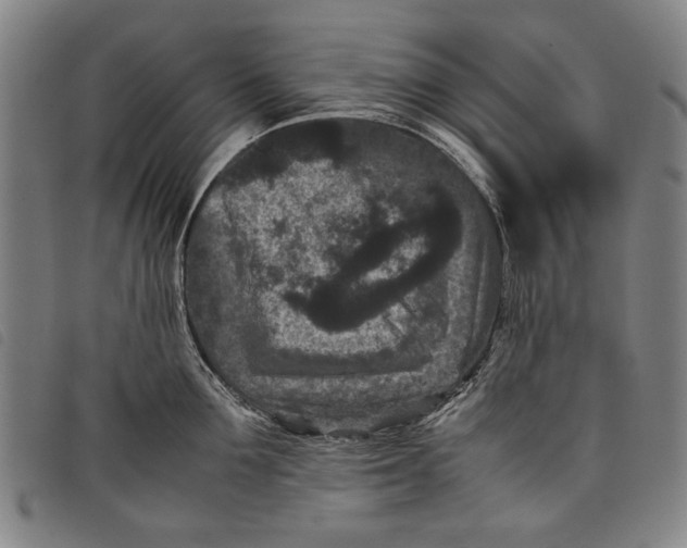 X0000097820907200804041356