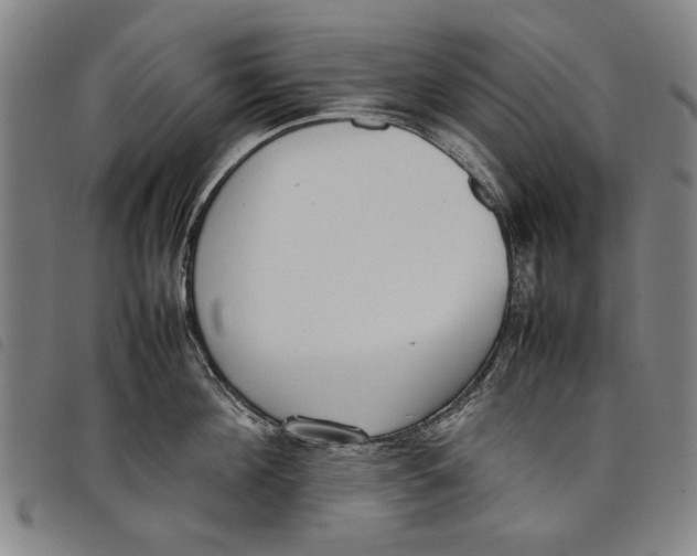 X0000097820908200804041356