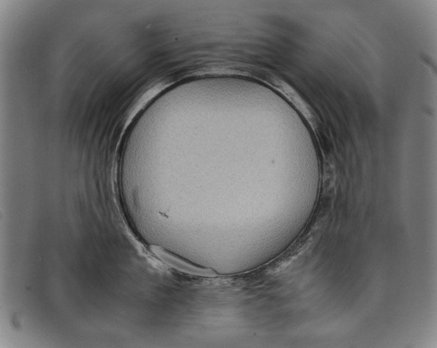 X0000097820909200804041356