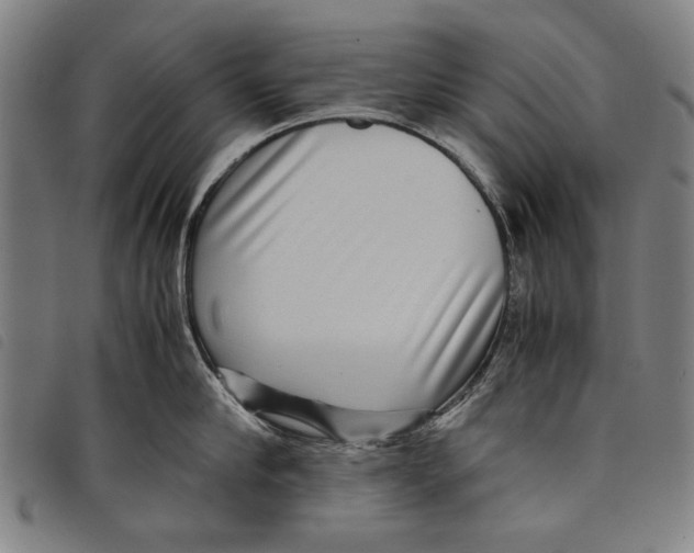 X0000097820910200804041356