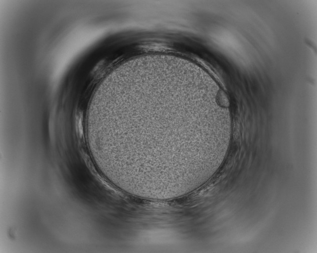 X0000097820911200804041356