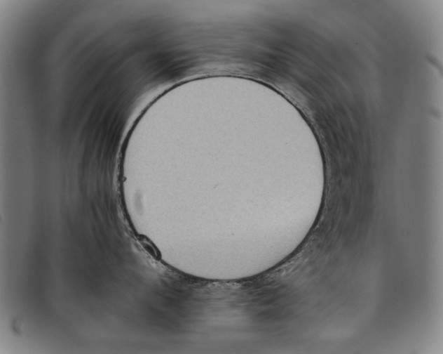 X0000097820912200804041356