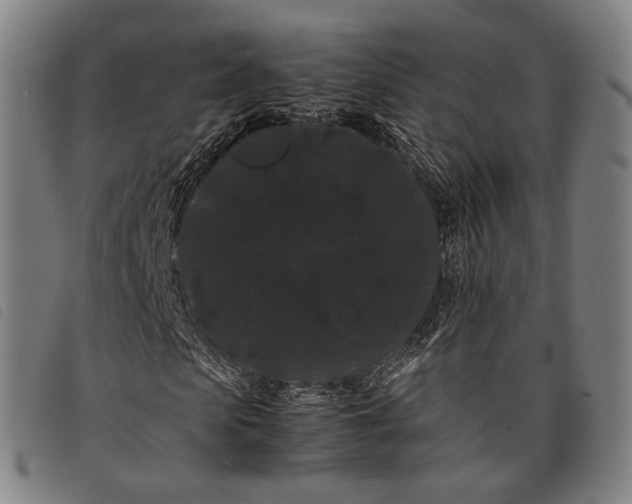 X0000097820913200804041355